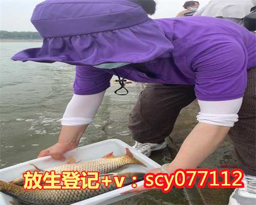 青海鲤鱼去哪里放生，青海玉树地震已造成1484人遇难