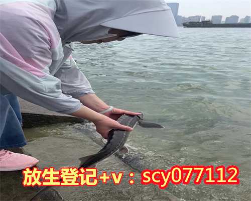 南京放生淡水鱼在哪里，淡泊了，自然乐观—南京吉慧长老访谈录