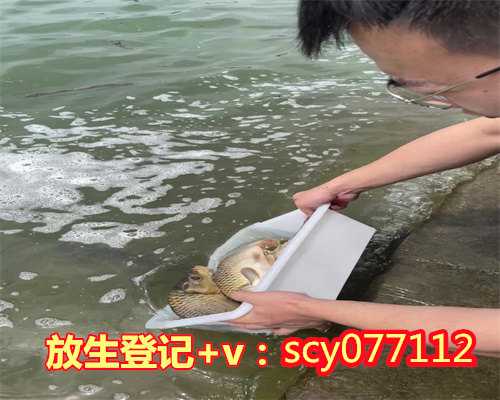 重庆嘉陵江可以放生鱼吗，重庆大学举办《坛经》智慧讲座
