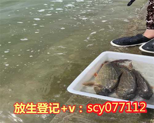 钱塘江甲鱼是放生的吗，浙江省首届钱塘江大型科学放生公益活动，光泉大和尚