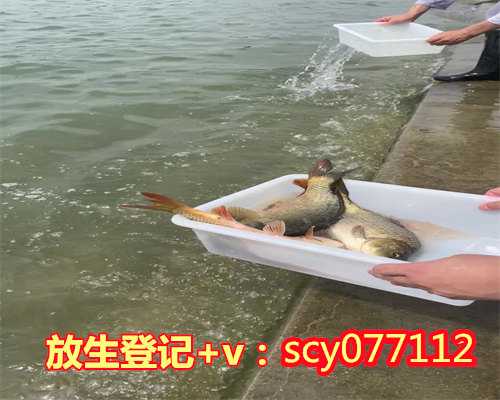 湖州放生鱼的方法，湖州巴西龟放生河中能活吗，湖州上海哪里放生鱼最安全的