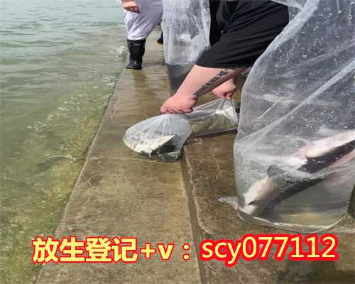 吉林刺猬放生条件，刺猬放生条件，上海黄浦江每月几号放生鱼