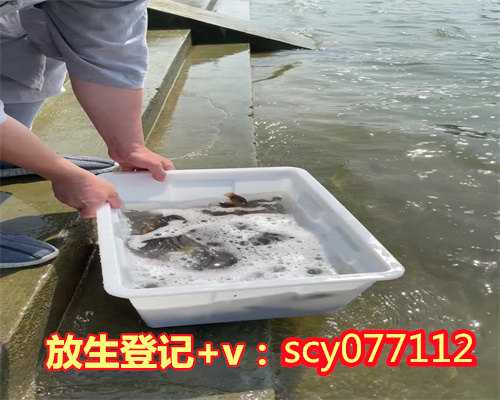 重庆嘉陵江适合放生鱼吗什么鱼，重庆市华岩文教基金会放生两万鱼苗回归自然