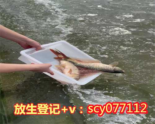 苏州哪里有放生鱼的，苏州寒山寺网站（www.hanshansi.org）新版隆重上线！