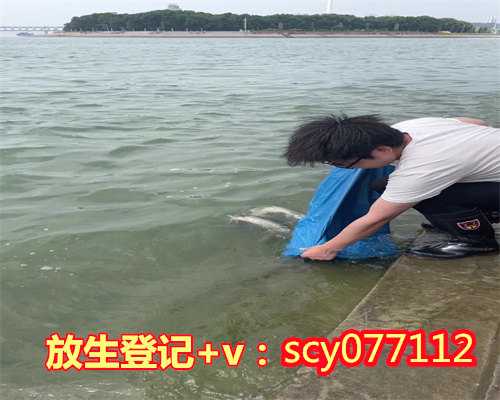陕西放生红鲤鱼在哪里，陕西省民族宗教事务委员会正式挂牌